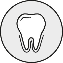 Icon Endodontologie